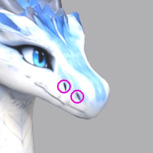 Zephyra: three-quarter right