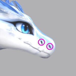 Zephyra: right side
